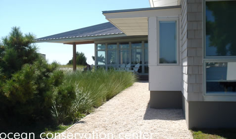 Located on Piver's Island at the head of the Beaufort Inlet, the Ocean Conservation Center provides state-of-the-art teaching facilities for Duke's Marine Lab.