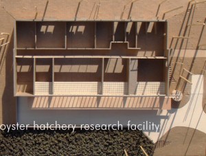 oyster_research-lrg2