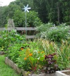 GARLIC, HERBS, FLOWERS copy